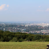  Sproing Pics (17/169)